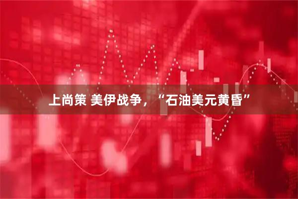 上尚策 美伊战争，“石油美元黄昏”