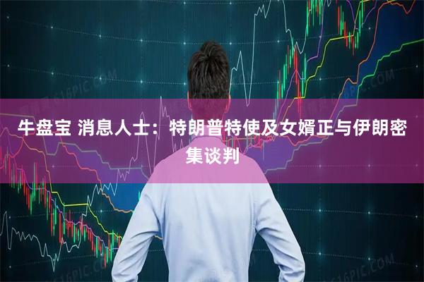 牛盘宝 消息人士：特朗普特使及女婿正与伊朗密集谈判