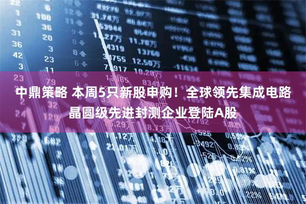 中鼎策略 本周5只新股申购！全球领先集成电路晶圆级先进封测企业登陆A股
