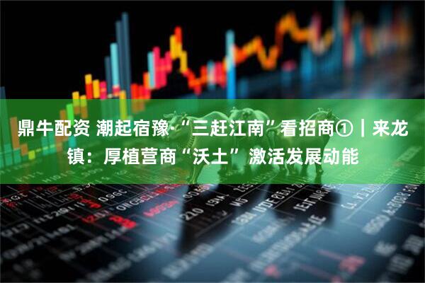 鼎牛配资 潮起宿豫·“三赶江南”看招商①｜来龙镇：厚植营商“沃土” 激活发展动能