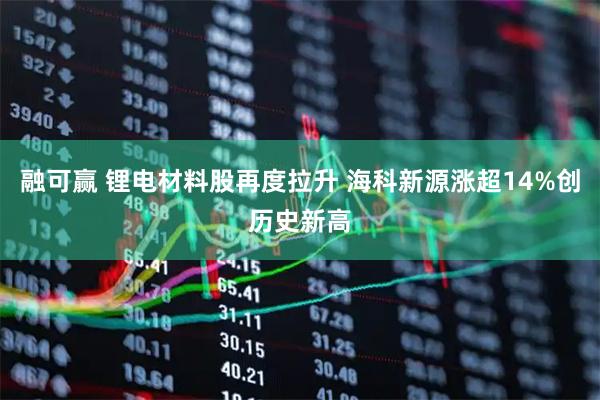 融可赢 锂电材料股再度拉升 海科新源涨超14%创历史新高
